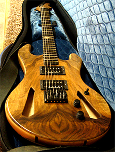 Grafted Walnut Guitar by Andy Mayer, MudSlide Guitars, USA Email